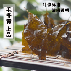 四川大雪山 野生特级 毛冬青茶 东青大叶苦丁茶 味儿浓老人超喜欢