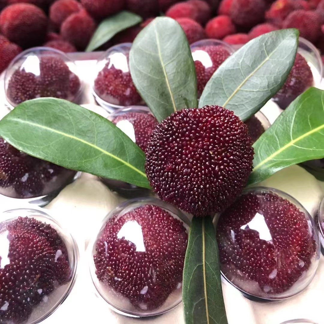 【颗粒装8a级】仙居东魁杨梅新鲜当季孕妇水果90颗礼盒装现摘现发