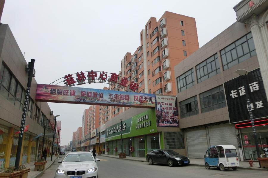 【第一次拍卖】阜宁县益林镇中心商业街13号楼1102室房屋