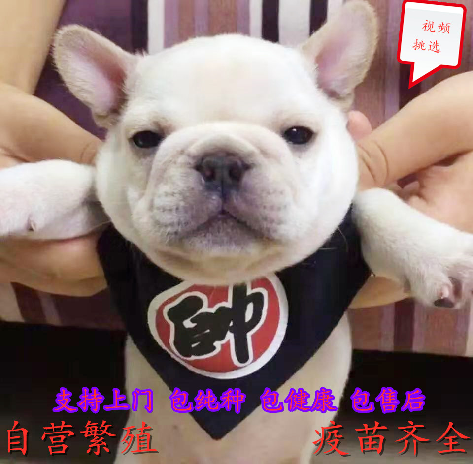 领优惠券