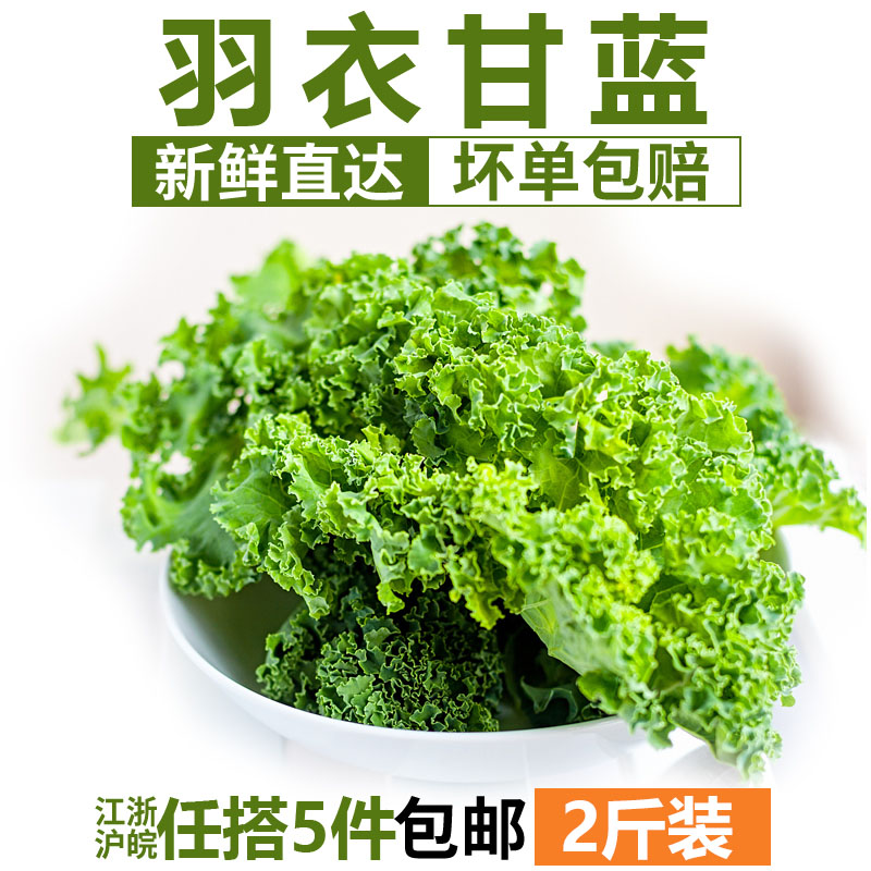 羽衣甘藍1000g新鮮蔬菜嫩葉甘蘭kale健身榨汁西餐食材葉牡丹 包郵在類目 水產肉類/新鮮蔬果/熟食, 新鮮蔬菜/蔬菜製品, 新鮮蔬菜, 其它中 - 來自Buy2taobao.com提供專業的淘寶代購服務