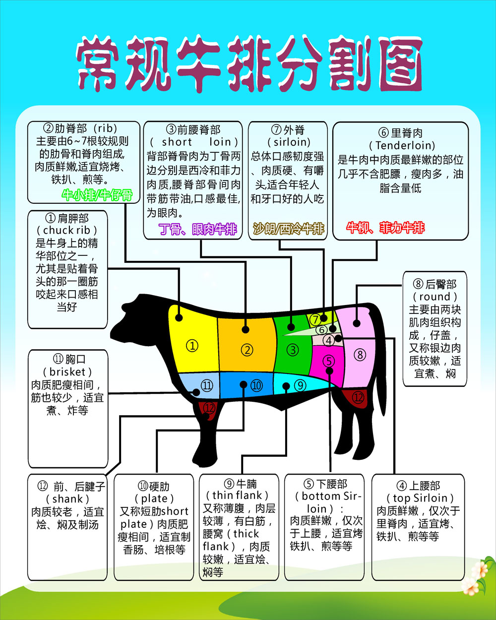 美国牛肉分割图高清图片