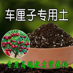 樱桃树专用土车厘子营养土种植土腐殖土壤通用家用盆栽土有机肥料