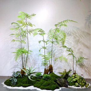 仿真猴头蕨仿生植物禅意风绿植摆件室内茶室客厅软装装饰造景摆放