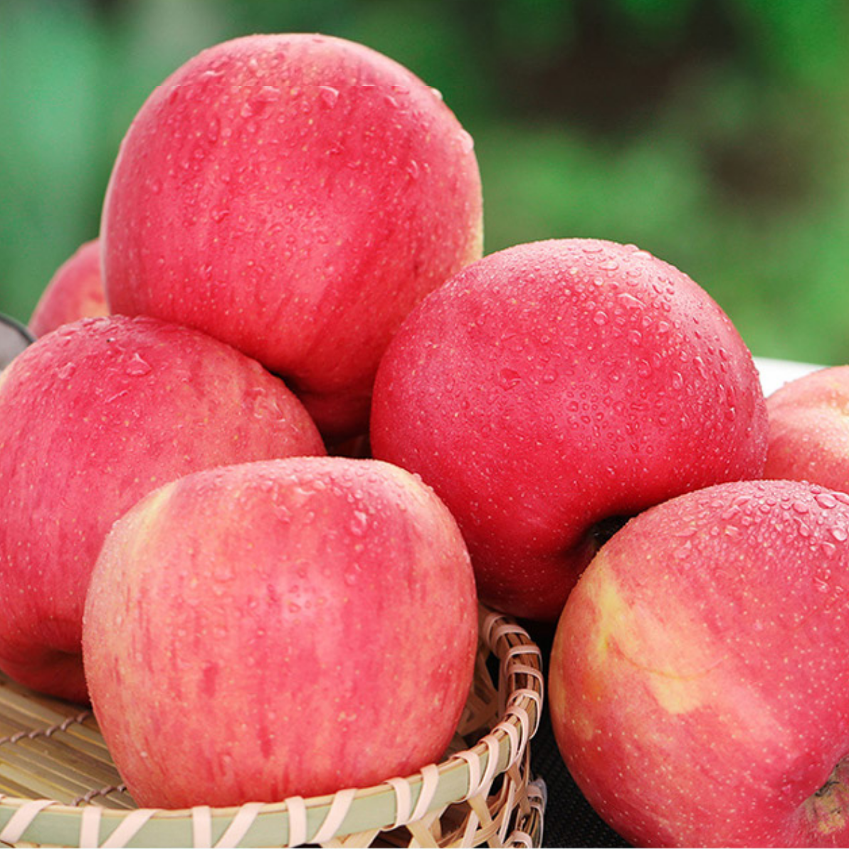 山西红富士苹果新鲜水果当季应季现采现摘现发果园直发农产品整箱