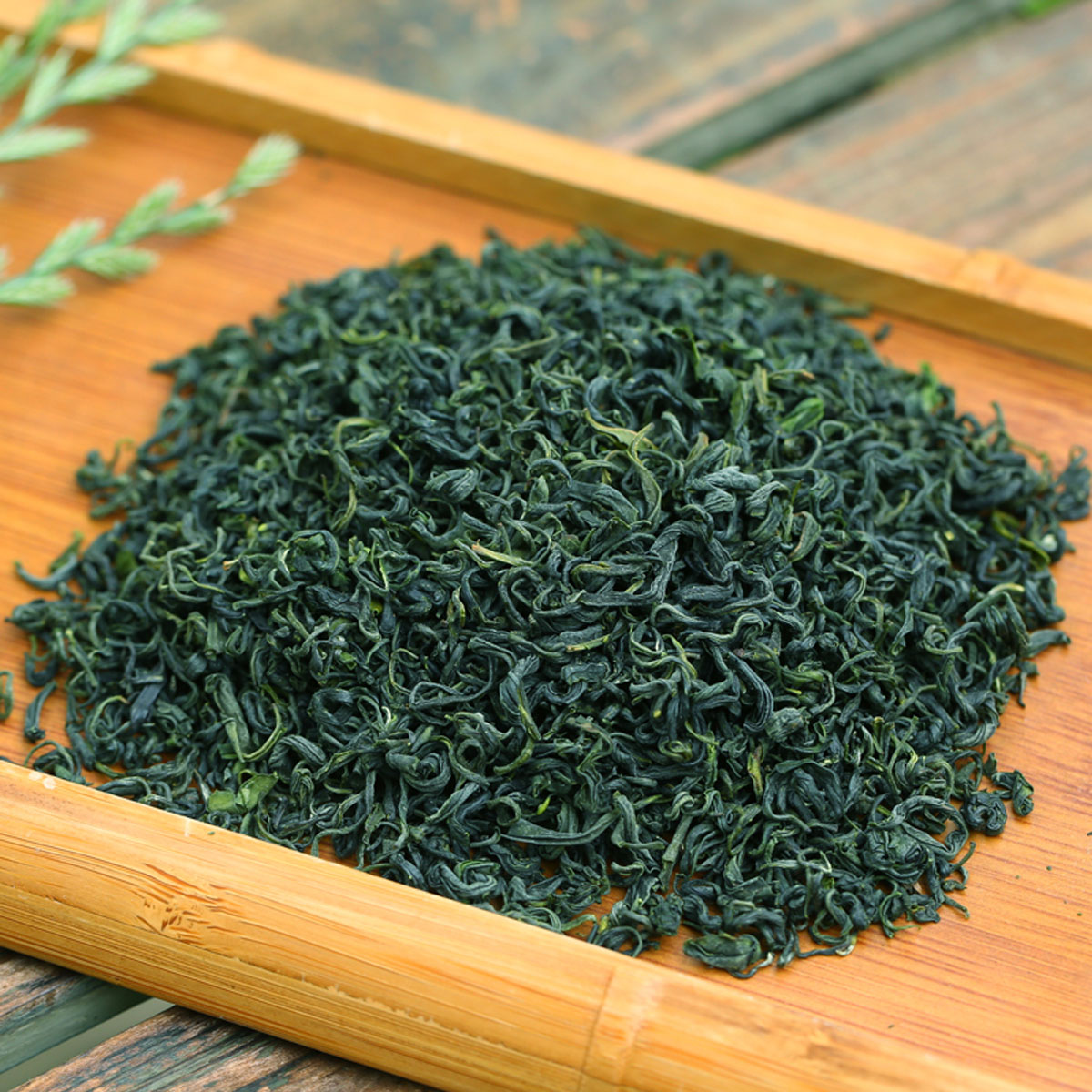 日照绿茶2019新茶茶叶散自产浓香春绿茶装新礼盒高山云雾炒青250g