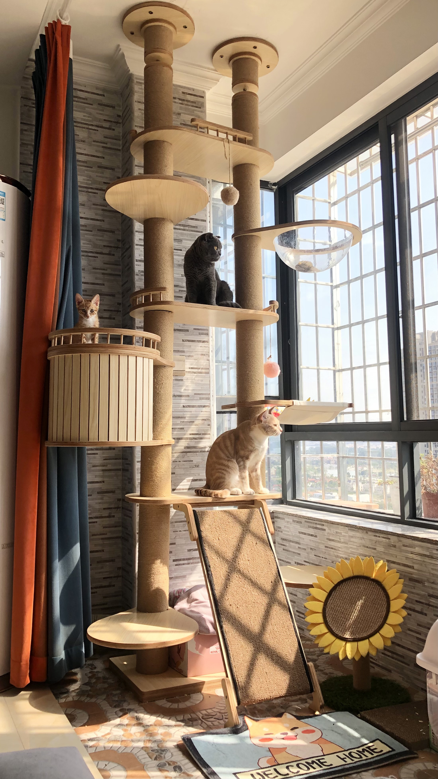 顶天立地猫爬架