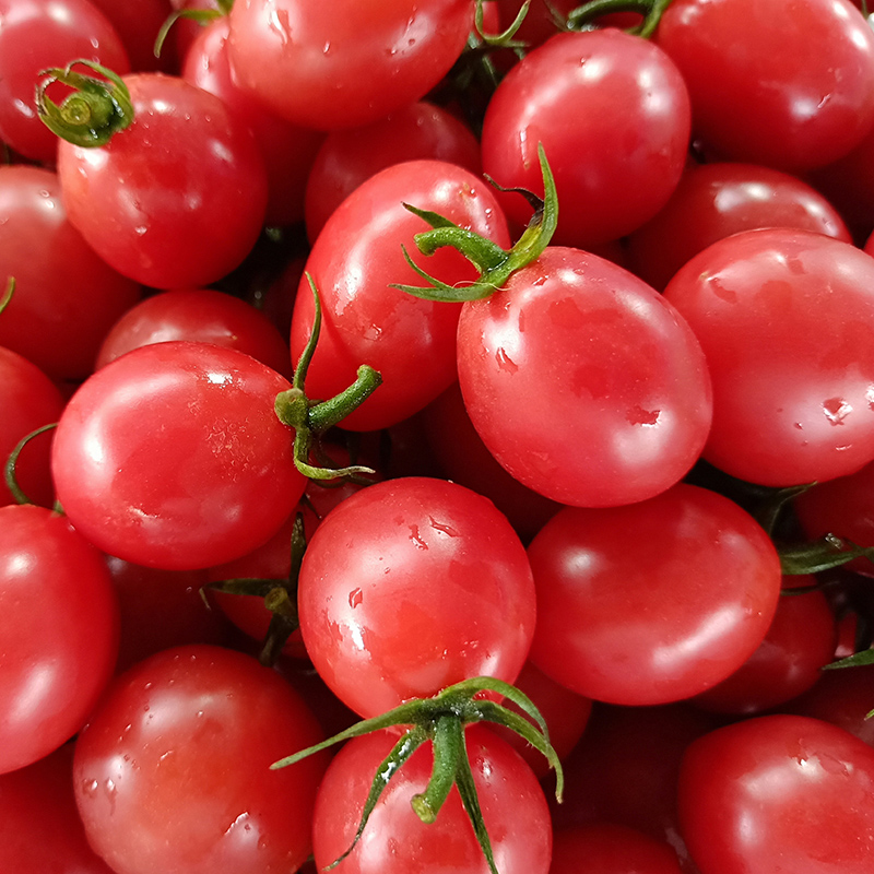 迷彩小番茄圣女果新鲜西红柿蔬菜水果柿子非铁皮海南千禧果包邮-haooe