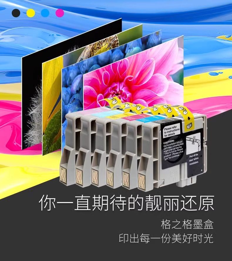 格之格适用epson爱普生T0491黑色墨盒R210 R230 R310 R350 RX630喷墨打印机t0491-t0496