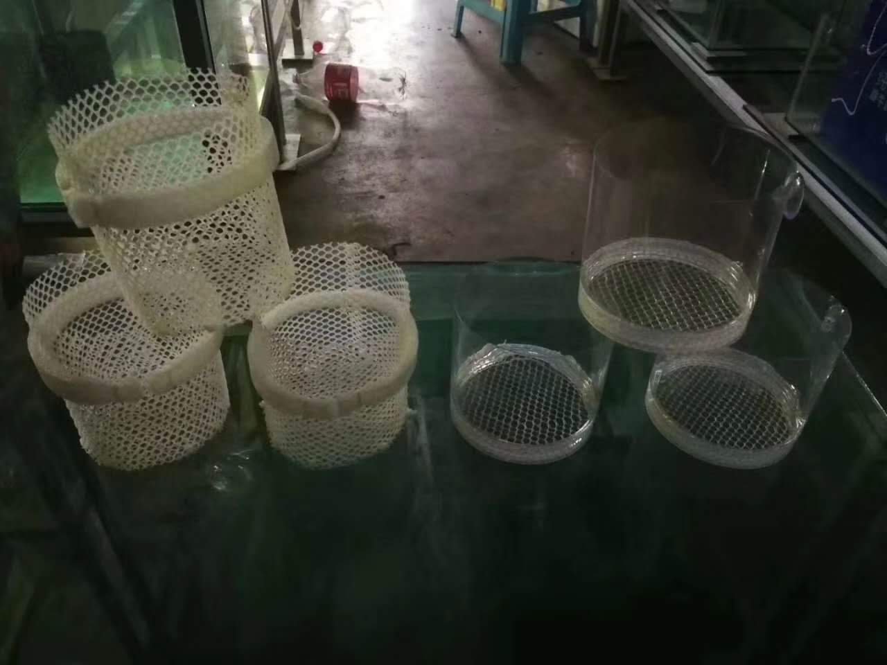 孔雀鱼孵化盒隔离和孔雀鱼产房生小鱼