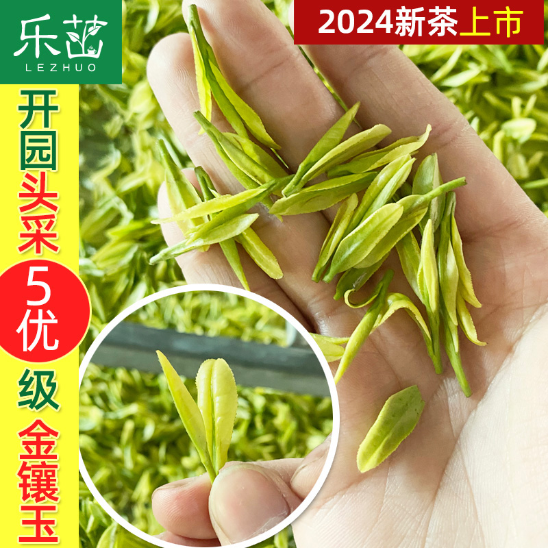 2024新茶上市-乐茁花蜜香金镶玉