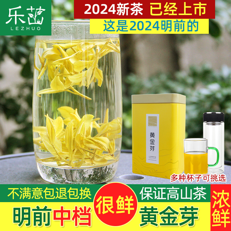 2024年新茶-乐茁明前黄金芽一中档级正宗安吉高山黄金白茶叶125g