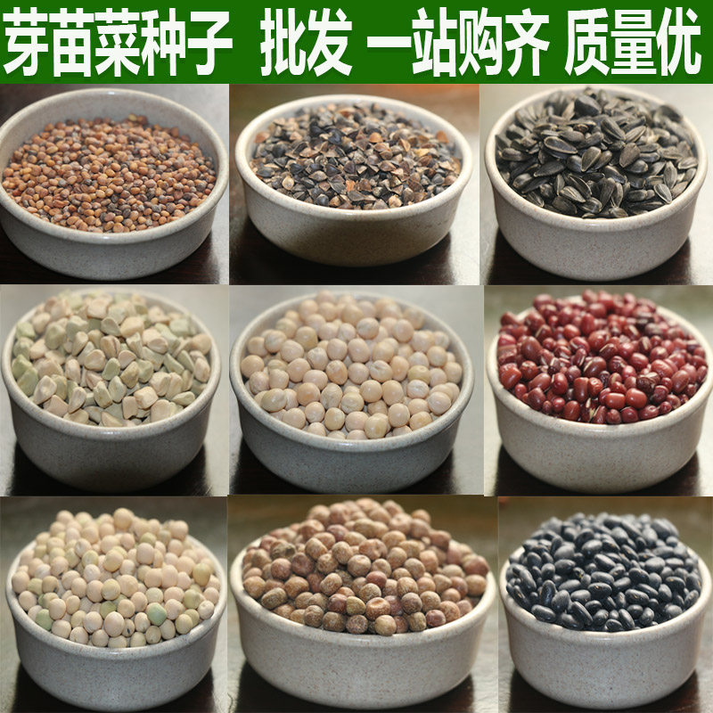 芽苗菜种子豌豆萝卜小麦草花生生水蔬菜香椿松柳家庭园艺种子