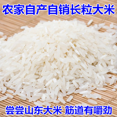大米新米山东农家自产自销稻花香农家香米粥米贡长粒米250克
