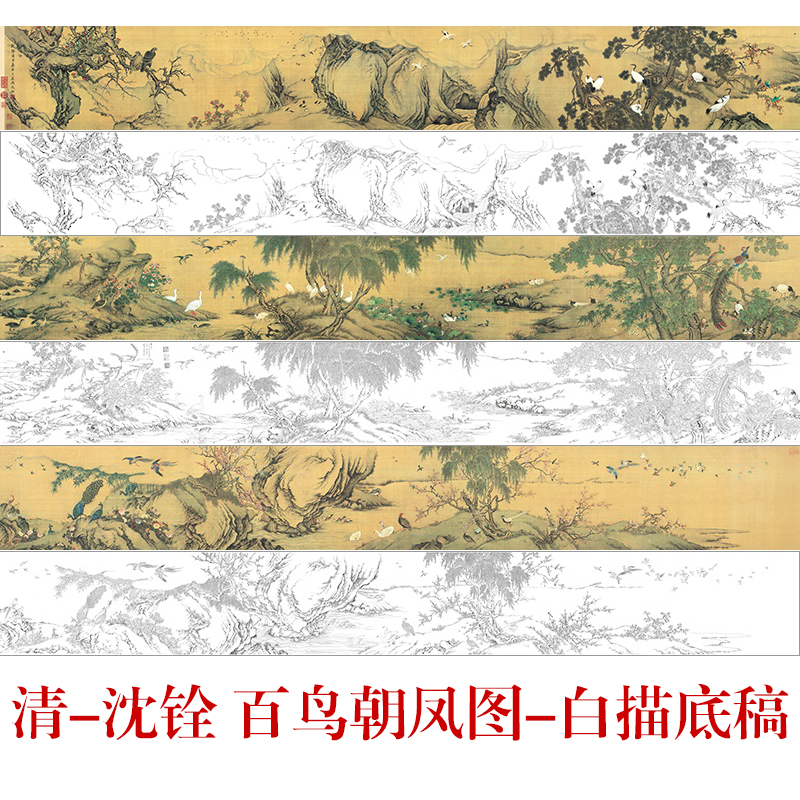 CQ20工笔画白描打印底稿古画长卷清沈铨-百鸟朝凤图临摹练习线描