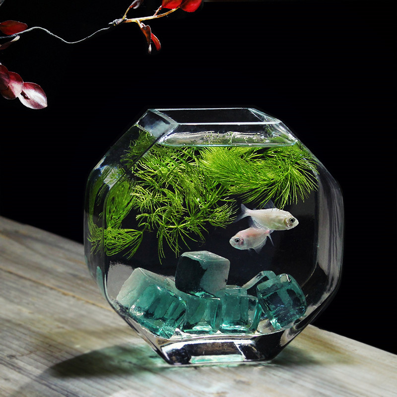 斗鱼缸加厚高白玻璃个性鱼缸小号创意鱼缸办公桌面热带鱼缸高品质