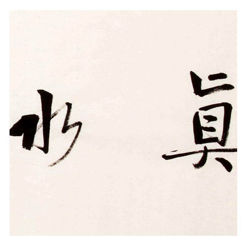 许战国 《真水无香》 中书协会员