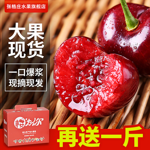 山东烟台大樱桃现摘现发车厘子现货孕妇水果批发包邮新鲜当季整箱