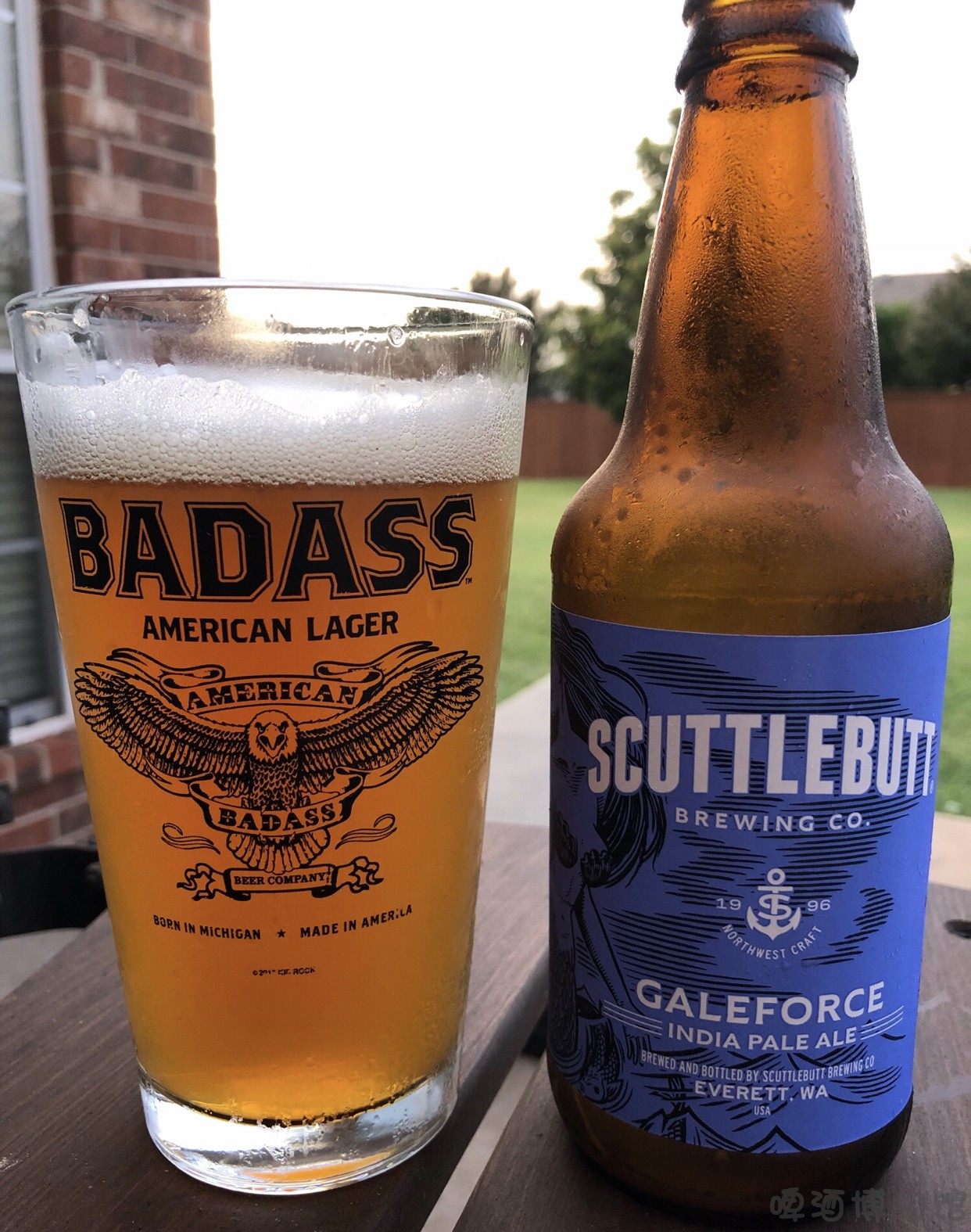 scuttlebutt gale force美人鱼 飓风美式ipa 精酿啤酒 355ml美国