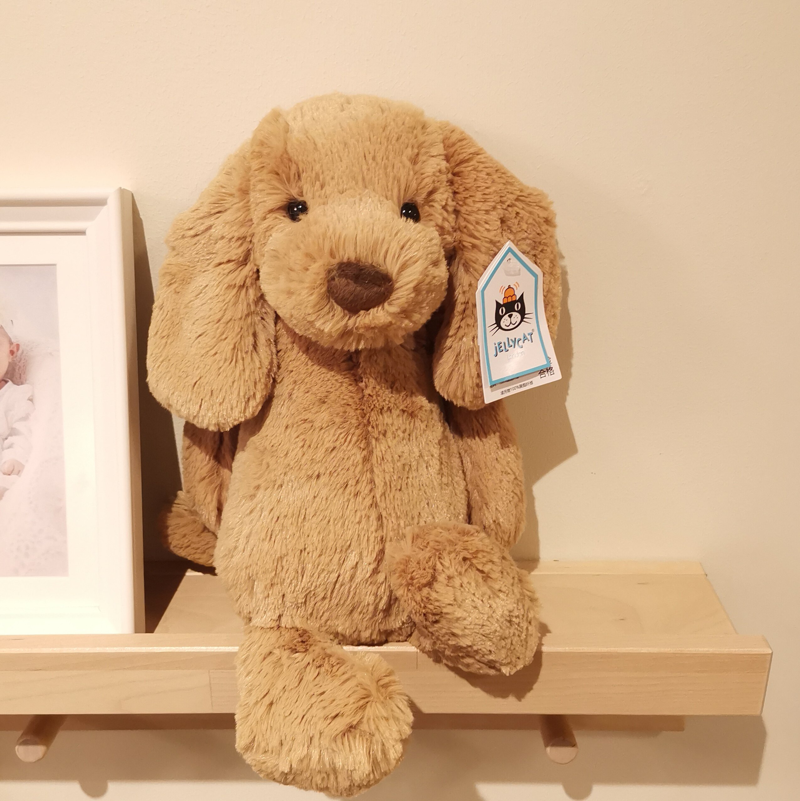 英国正品jellycat害羞狗毛绒玩具太妃糖狗 小黄狗海盗狗 黑白小狗