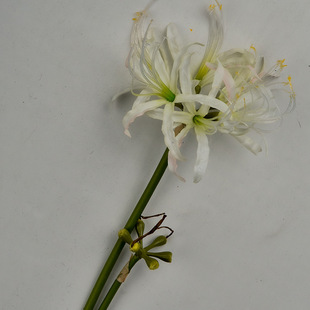 彼岸花仿真花曼珠沙华干花汉服昙花束古风装饰假拍摄道具手持拍照