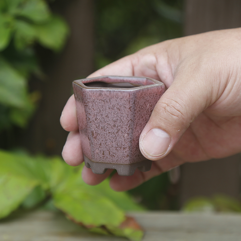 拇指盆迷你手工仿紫砂粗陶陶瓷桃蛋叶插苗绿植简约控型形多肉小花