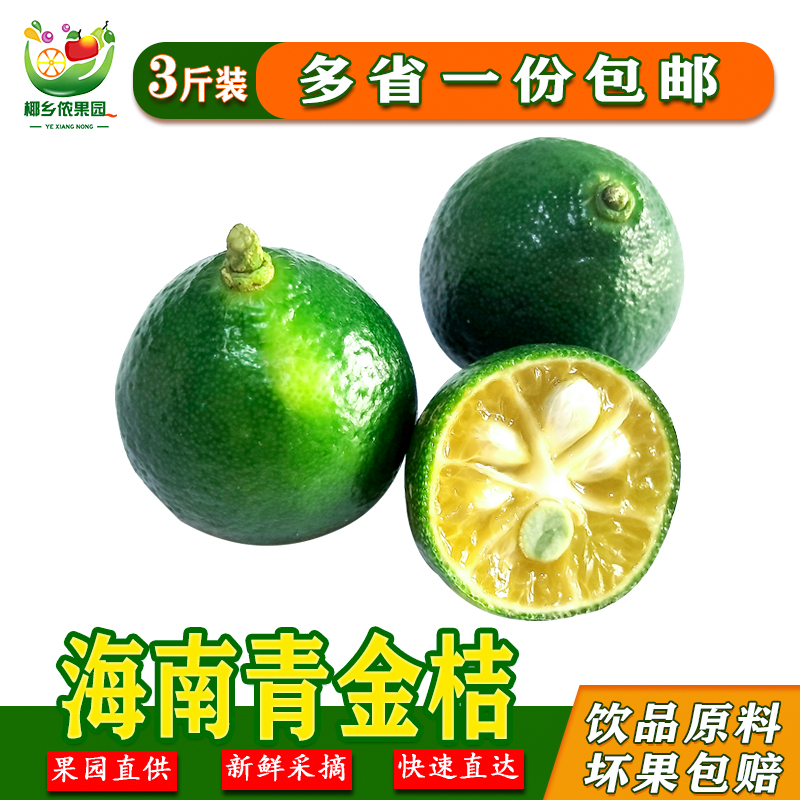 海南小金桔3斤裝1500g多省包郵青桔新鮮青橘子奶茶原料新鮮桔子在類目 水產肉類/新鮮蔬果/熟食, 新鮮水果, 桔子中 - 來自Buy2taobao.com提供專業的淘寶代購服務