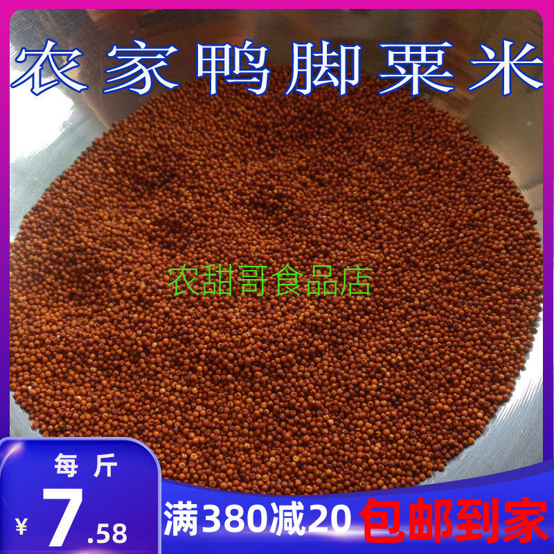 【农甜哥】农家鸭脚粟米粉掺子龙爪粟米红黄小米新米食品五谷杂粮