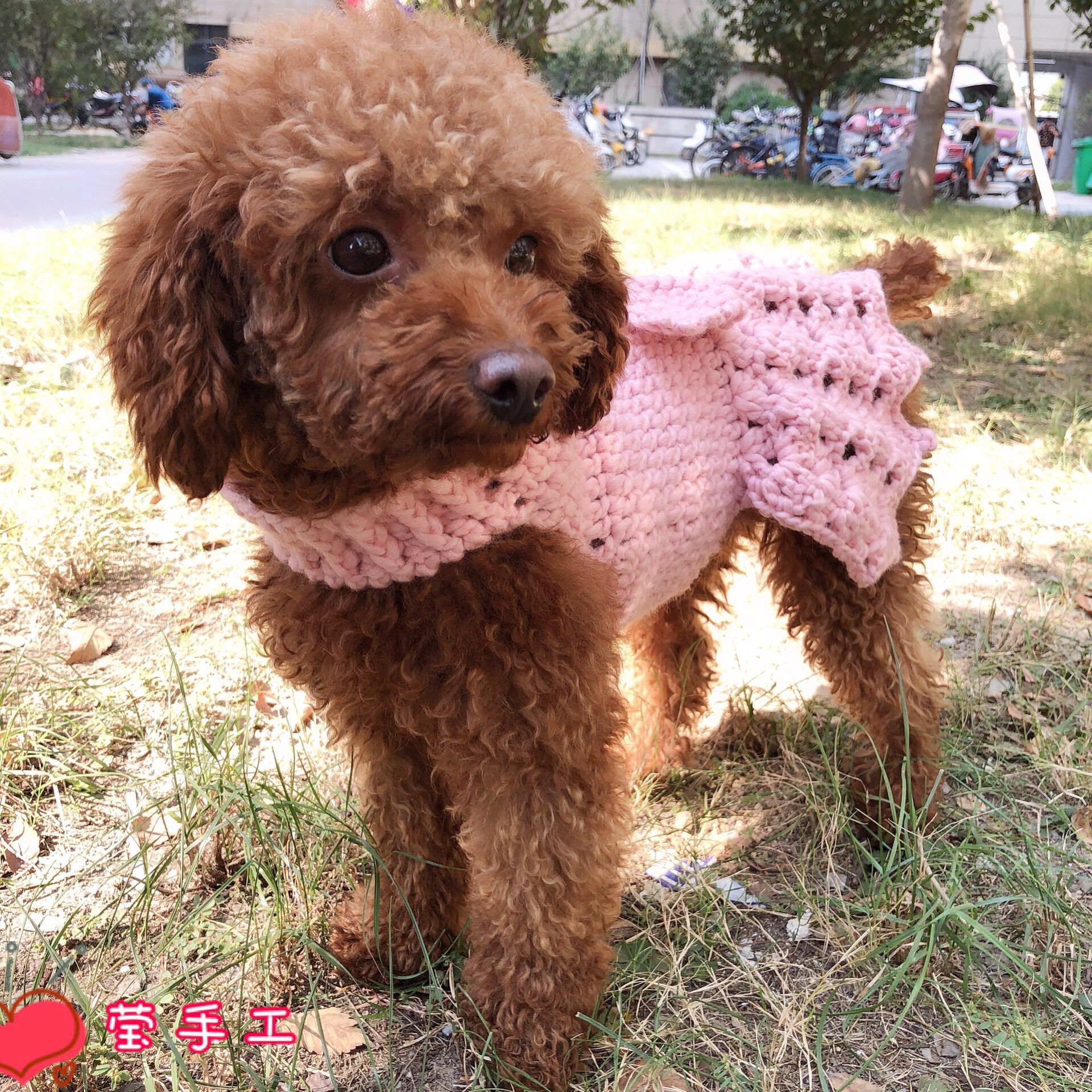 不是成品钩针编织宠物衣服泰迪比熊狗狗衣服材料送视频教程