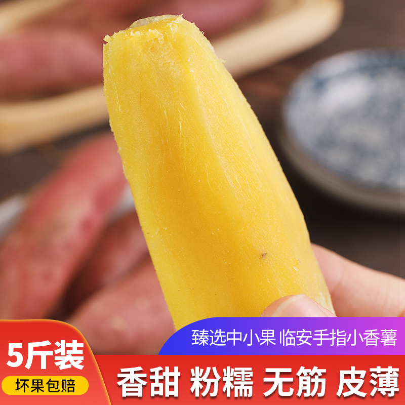 臨安天目山小香薯5斤新鮮紅薯正宗板栗地瓜山芋10甜蜜黃心小番薯在類目 水產肉類/新鮮蔬果/熟食, 新鮮蔬菜/蔬菜製品, 新鮮蔬菜, 番薯中 - 來自Buy2taobao.com提供專業的淘寶代購服務