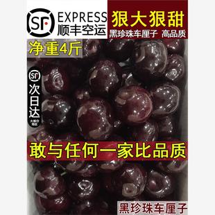 四川汉源车厘子黑珍珠礼盒装3J汶川大樱桃孕妇新鲜水果4斤