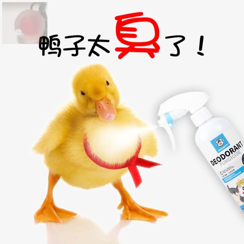 柯尔鸭除臭杀消毒驱喷雾鸡身上的去除虫异味菌剂宠物科尔鸭子用品
