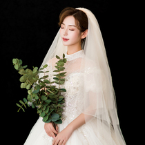 Bridal Wedding headdress champagne short super xiansen wedding headdress net red Photo Props simple pengpeng gauze