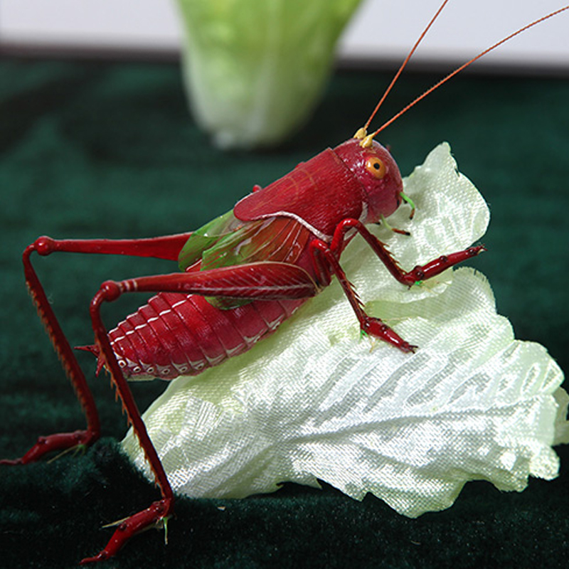 华夏一绝 国之瑰宝 秦氏绢艺 蝈蝈白菜 财到