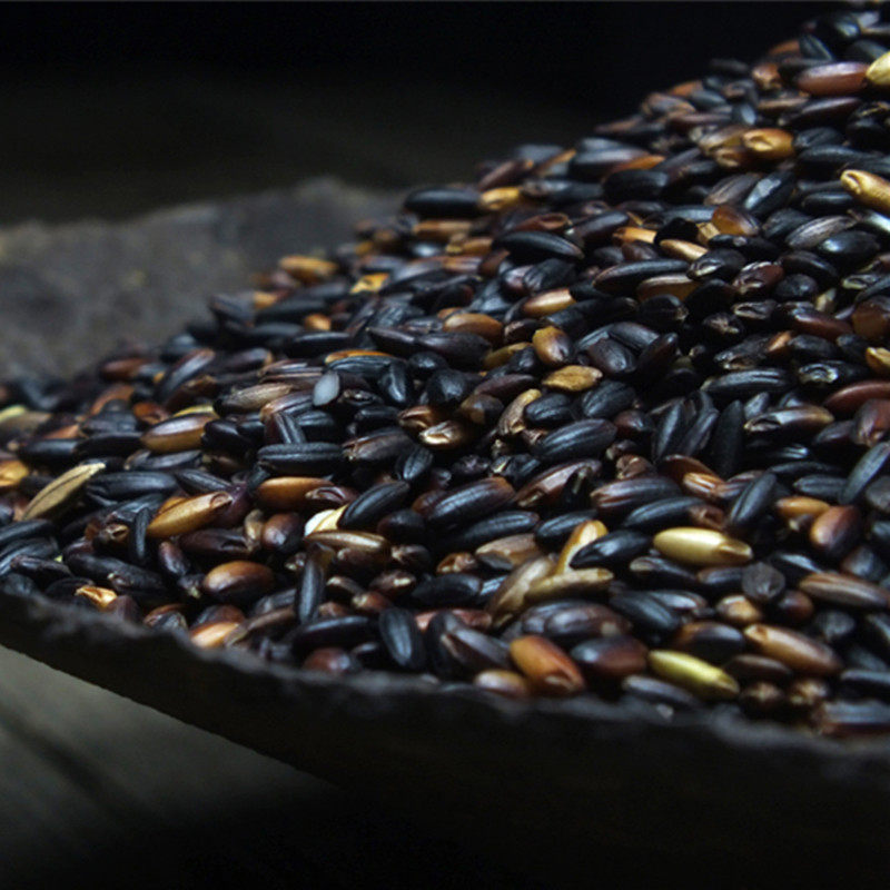 糯米1斤装广西融水苗乡紫黑香糯农家米新黑米糯米