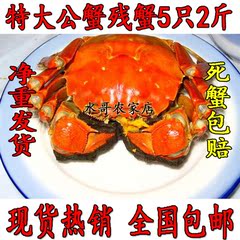 高淳固城湖大闸蟹残蟹质比阳澄湖缺脚螃蟹特大公蟹5只2斤散装包邮