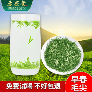 禾安堂2024年新茶毛尖茶叶自己喝100g信阳春茶绿茶官方正品旗舰店