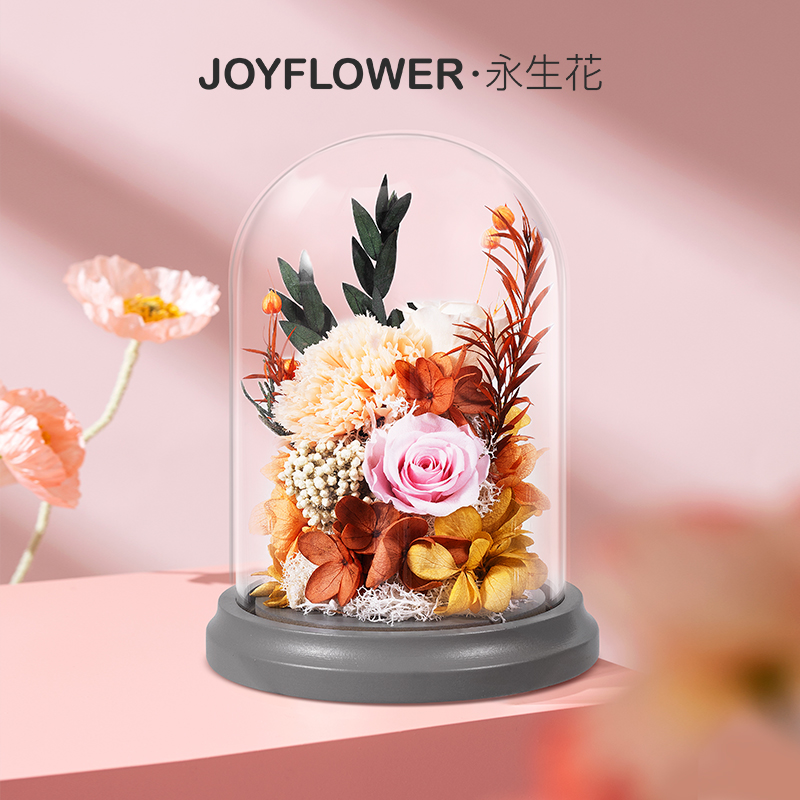 Joyflower康乃馨永生花母亲节礼物送妈妈婆婆生日礼盒玫瑰花干花