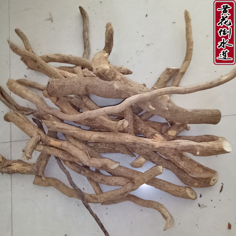 5件包邮野生中草药材黄花倒水莲 黄花参 倒吊黄 观音坠 一身保暖