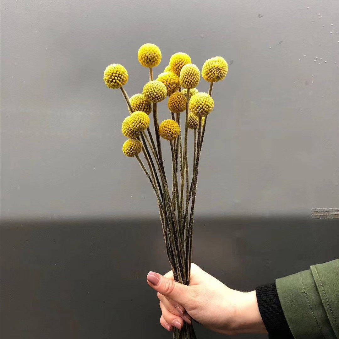 黄金球金球永生花国产小朵花儿diy材料生日礼物永生花