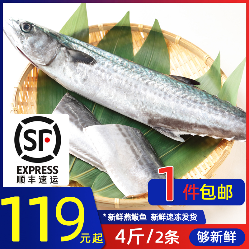 【4斤】青岛新鲜鲅鱼 鲜活冰鲜马鲛鱼 海鲜燕鲅鱼冷冻发货 2条|ruв категории водной мясо/свежие фрукты и овощи/еда, морепродукты/водные продукты/изделия, морепродукты и рыба, макрель - от Buy2taobao.com для оказания профессиональной услуги покупки агента Taobao