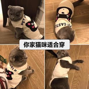 猫猫英短蓝猫布偶猫夏天猫咪衣服小猫春夏公猫帅气防掉毛夏季薄款