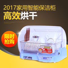 AB-F806D消毒柜立式家用小型迷你紫外线厨房餐具碗筷保洁柜