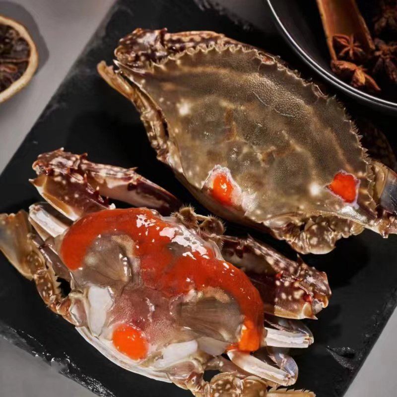 新品舟山红膏呛蟹飞机蟹生吃枪蟹炝蟹咸蟹生腌海鲜