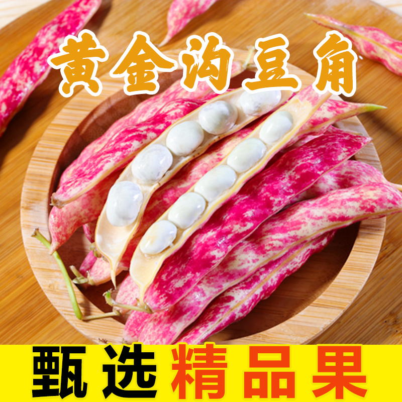 东北黄金钩豆角 新鲜蔬菜特产黄金沟芸豆四季豆农家自产现摘现发在类目 水产肉类/新鲜蔬果/熟食, 新鲜蔬菜/蔬菜制品, 新鲜蔬菜, 其它中 - 来自Buy2taobao.com提供专业的淘宝代购服务