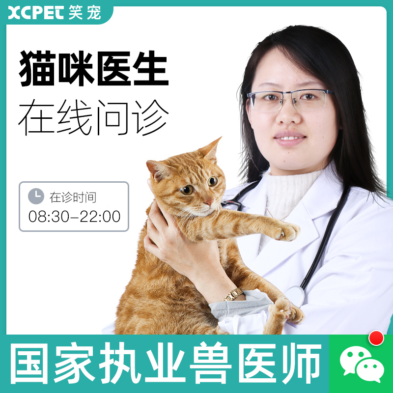 Pet Hospital doctor Online Consultation animal Veterinary Free of charge Interrogation Examination disease Sterilizationin the Pet/Pet food and supplies , Pet Life Services , Pet Health category - from Buy2taobao.com to provide professional Taobao agent buy service