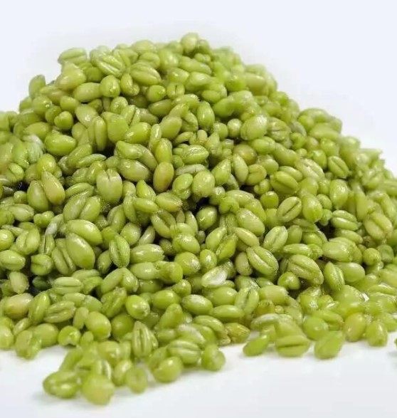 21新鲜青麦仁青麦粒小麦仁青小麦嫩麦籽杂粮2斤麦仁鲜绿麦仁野菜