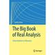 【4周达】The Big Book of Real Analysis: From Numbers to Measures [9783031308314]