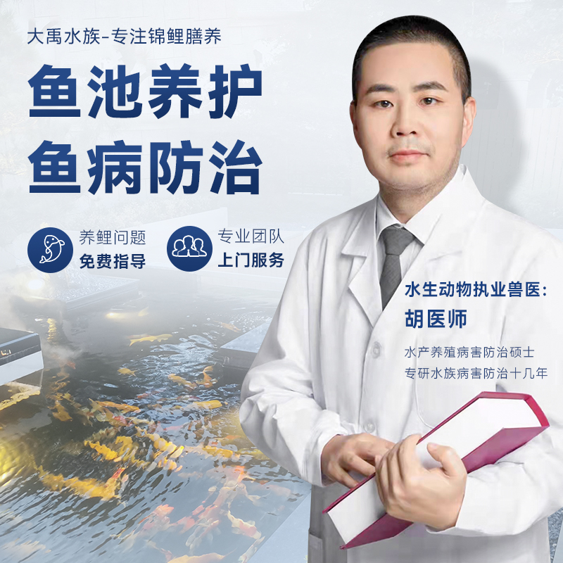 锦鲤鱼池问题咨询 上门服务 鱼病调理 生态过滤系统修复 水质护理|ruв категории животное/Животное питание и принадлежностей, Пэт жизнь услуг, других домашних услуг - от Buy2taobao.com для оказания профессиональной услуги покупки агента Taobao