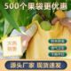 水果套袋桃袋水蜜桃袋子果袋黄桃油桃防虫防鸟防雨透气专用套袋